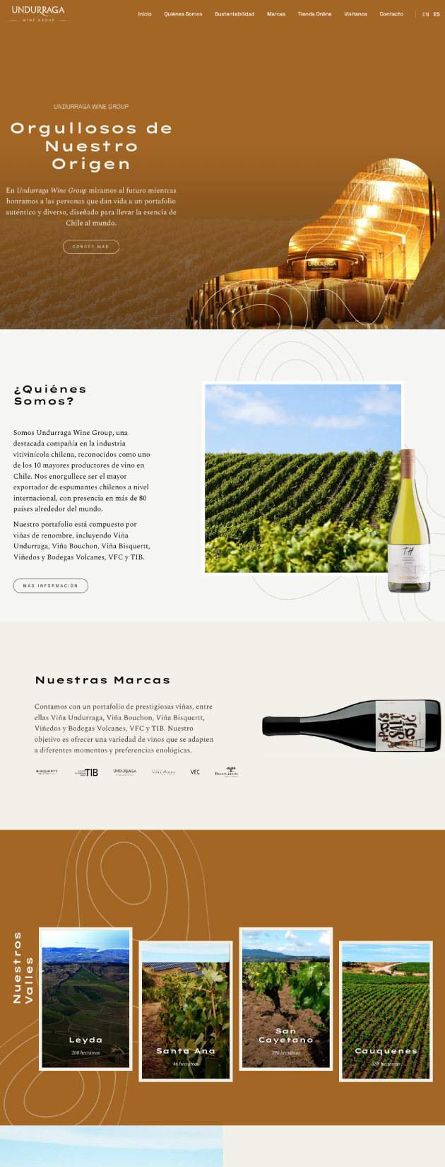 proyecto-sitio-undurraga-group